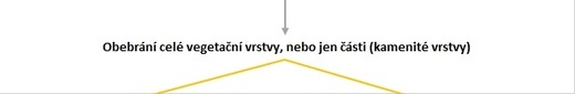 Tabulka_(15).jpg